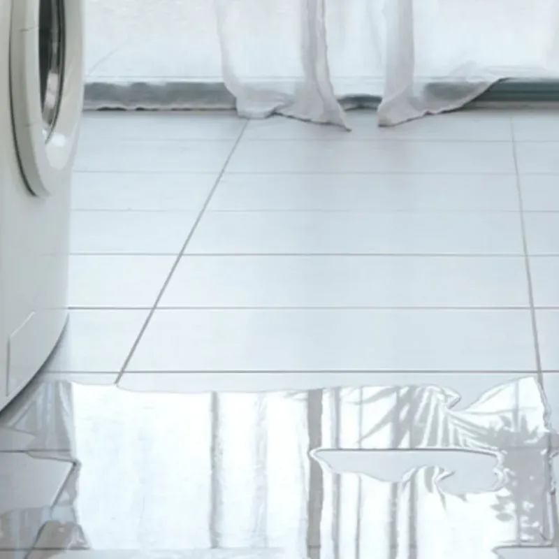 Appliance Leak Cleanup in Malibu, CA